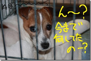 今日カズ０９０２２５　１