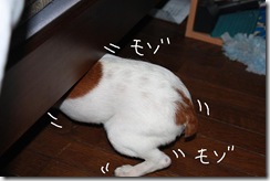 今日カズ０９０２２６　５