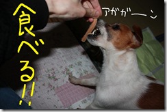 今日カズ０９０２２７　３