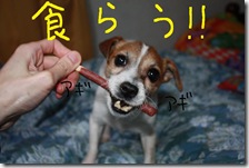 今日カズ０９０２２７　５