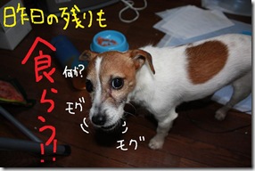 今日カズ０９０２２７　６