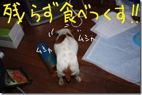 今日カズ０９０２２７　７