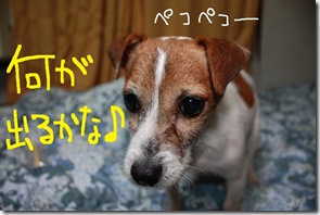 今日カズ０９０２２８　１