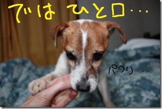 今日カズ０９０２２８　２