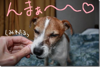 今日カズ０９０２２８　３