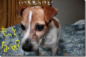 今日カズ０９０２２８　７