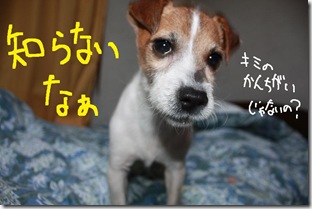 今日カズ０９０２２８　８