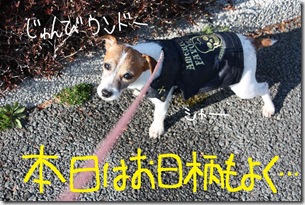 今日カズ０９０３０２　１