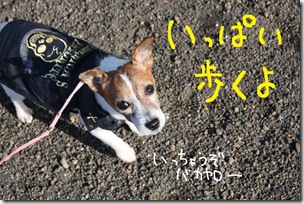 今日カズ０９０３０２　２