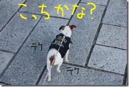 今日カズ０９０３０２　３