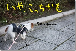 今日カズ０９０３０２　４