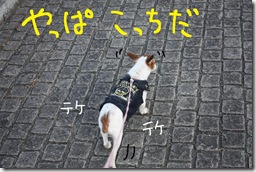 今日カズ０９０３０２　５