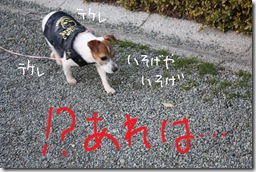 今日カズ０９０３０２　６