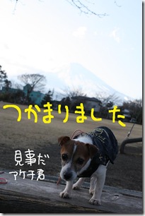 今日カズ０９０３０２　８