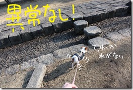 今日カズ０９０３０２　１０