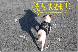 今日カズ０９０３０２　１１