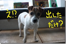 今日カズ０９０３０３　４