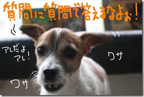 今日カズ０９０３０３　５