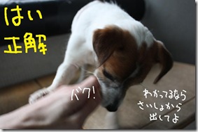 今日カズ０９０３０３　６