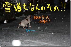 今日カズ０９０３０３　８