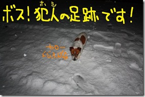今日カズ０９０３０３　９