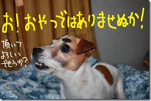 今日カズ０９０３０３　１２