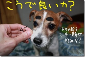 今日カズ０９０３０３　１４