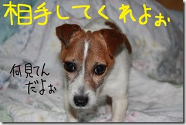 今日カズ０９０３０９　１