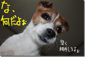 今日カズ０９０３０９　２