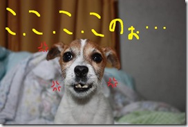 今日カズ０９０３０９　４