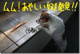 今日カズ０９０３１０　２