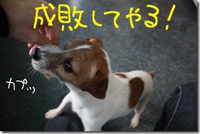 今日カズ０９０３１０　３