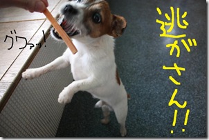 今日カズ０９０３１０　４