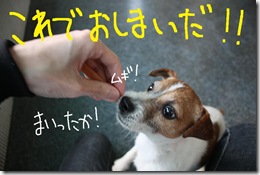 今日カズ０９０３１０　５