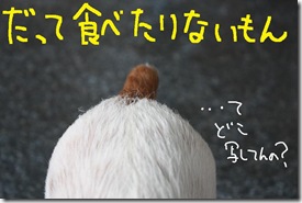 今日カズ０９０３１０　７