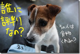 今日カズ０９０３１０　８