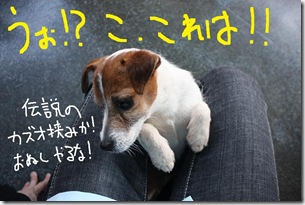 今日カズ０９０３１０　９