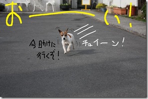 今日カズ０９０３１１　１