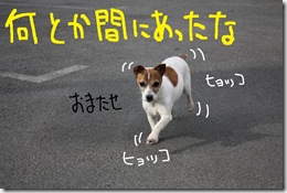 今日カズ０９０３１１　２
