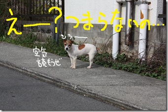 今日カズ０９０３１１　３
