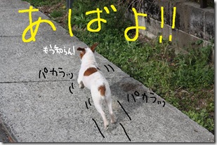 今日カズ０９０３１１　４