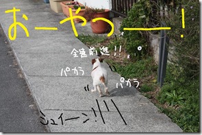 今日カズ０９０３１１　５