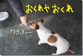 今日カズ０９０３１１　６