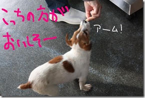 今日カズ０９０３１１　８