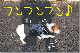 今日カズ０９０３１２　２