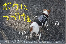 今日カズ０９０３１２　３