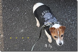 今日カズ０９０３１２　５