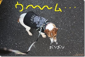 今日カズ０９０３１２　６