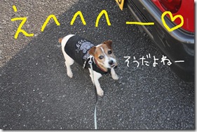 今日カズ０９０３１２　８