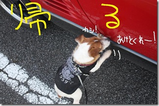 今日カズ０９０３１２　９